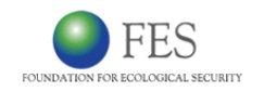 fes-updated-logo
