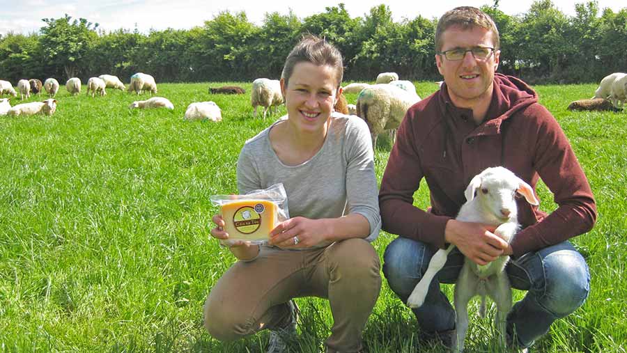 How Irish dairy farmers established a sheep milk business