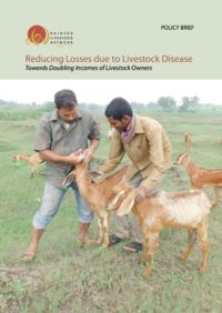 Reducing Losses due to Livestock Disease