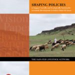 shaping-policies-thumbnail