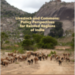 Livestock commons policy paper