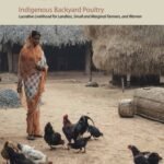 Indigenous Backyard Poultry