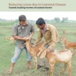 Reducing Losses due to Livestock Disease