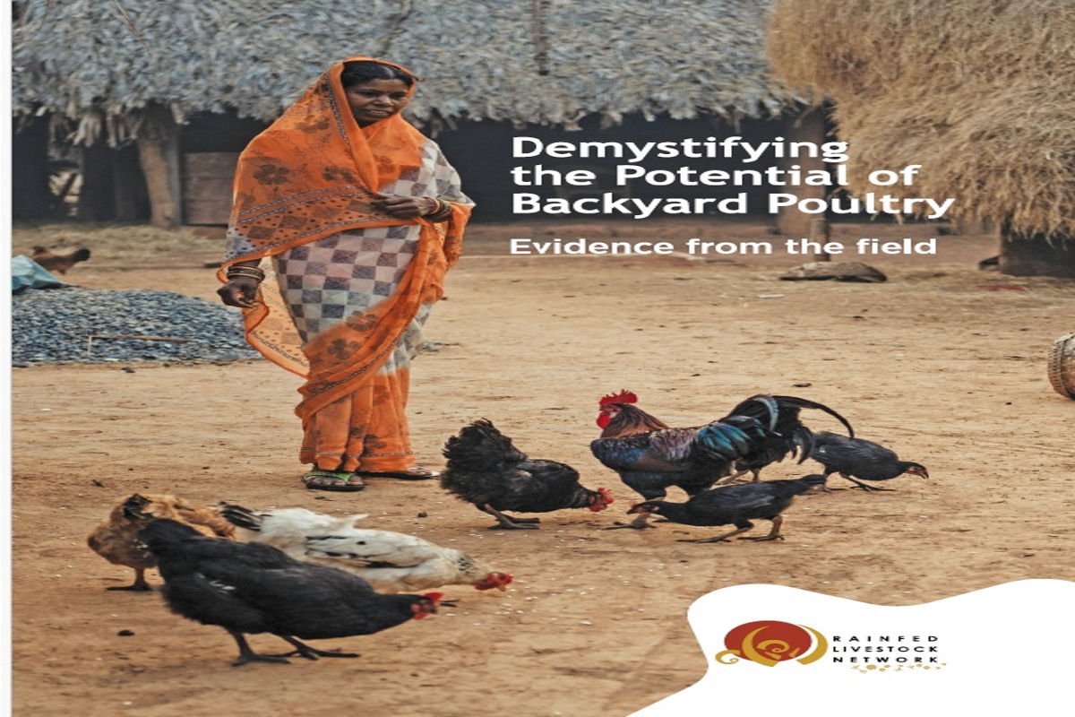 Demystifying the Potential of Backyard Poultry