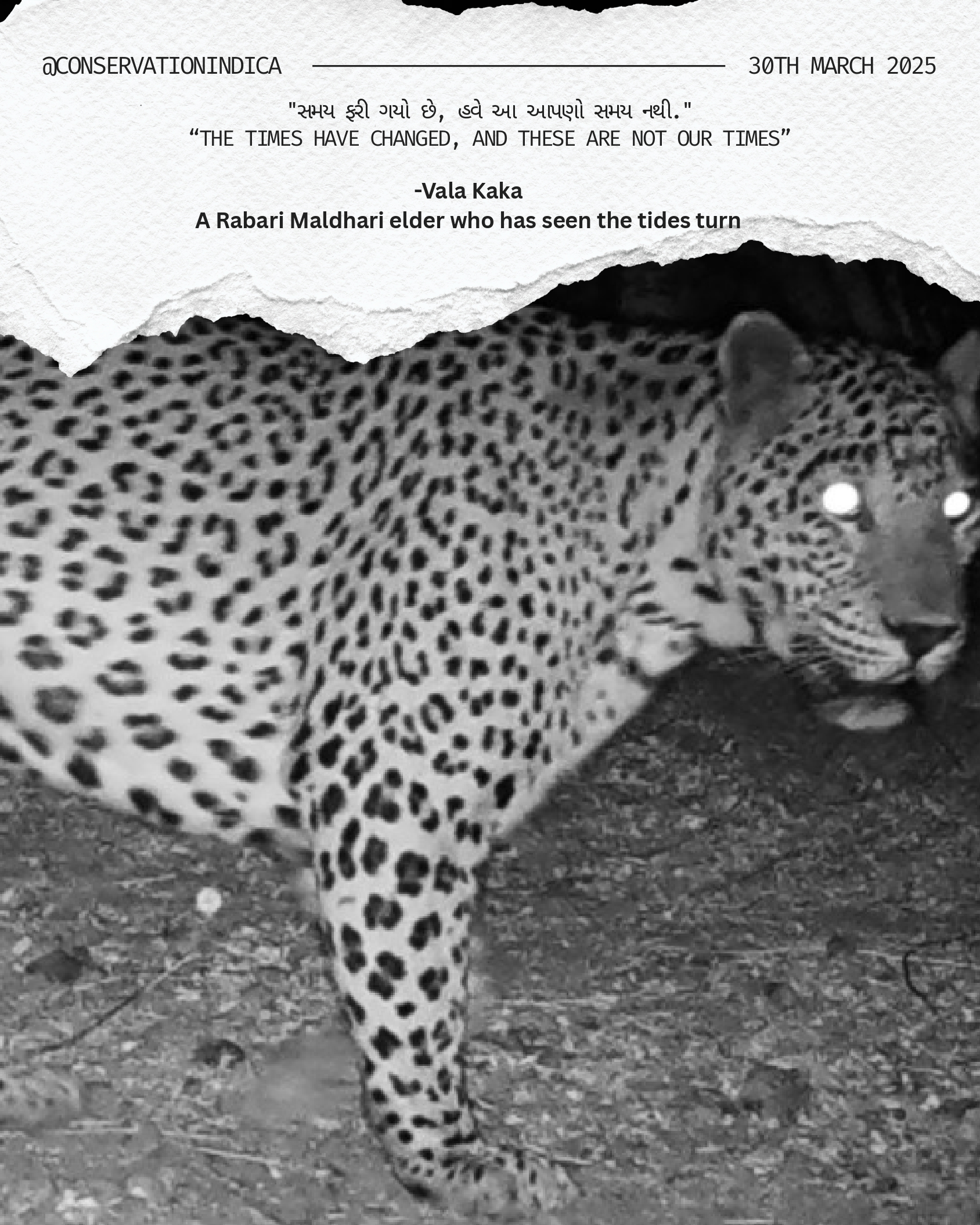 White Paper on HWC_Ci_page-0001